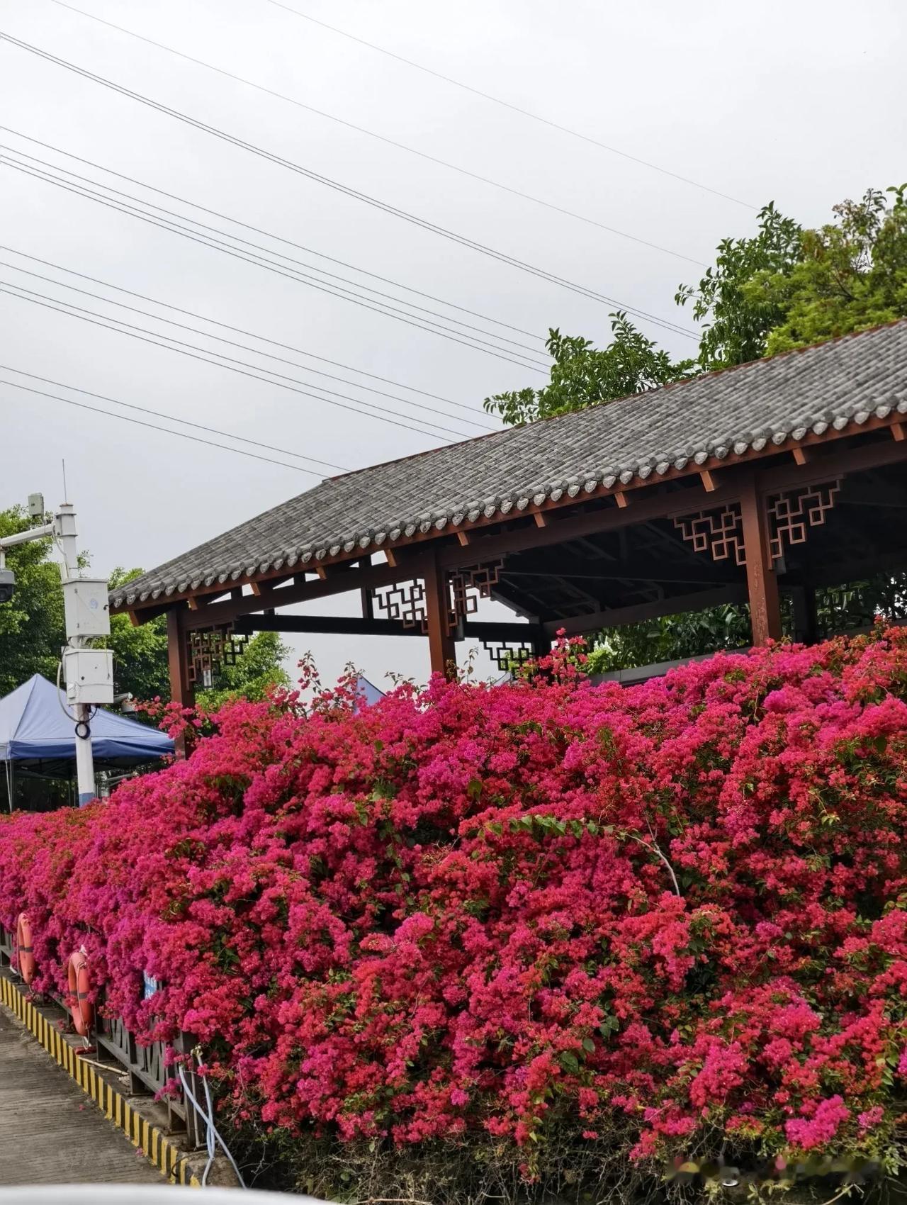 ，下联你来对上联：地里耕田汉，下联：山中采药翁。