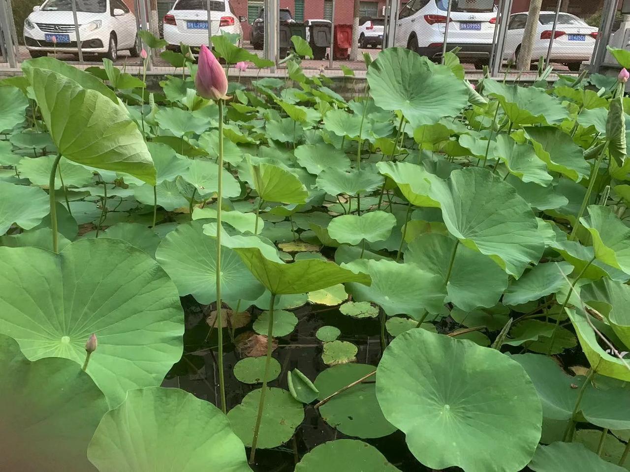 太喜欢了！非常受益的一段话：可有、可无、可去、可留，取舍之间，便是人生。