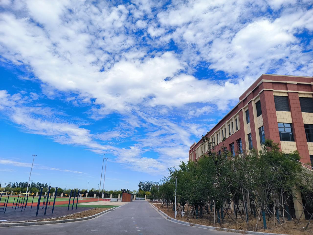 一位年轻校长问我，暑假开学后他发现学生上课睡觉，非常焦虑，问我该怎么办？初中