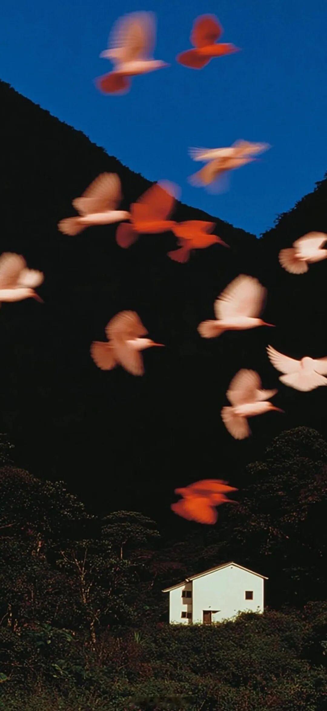 你可以直由自在地飞去任何你想去的他方，而我会成为你用来歇脚的山。——《坠落》早安