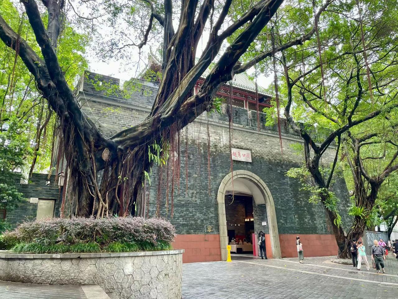 广州街道景色镜头下的广州看看你拍的广州城市观察员城市.街拍城市身边的