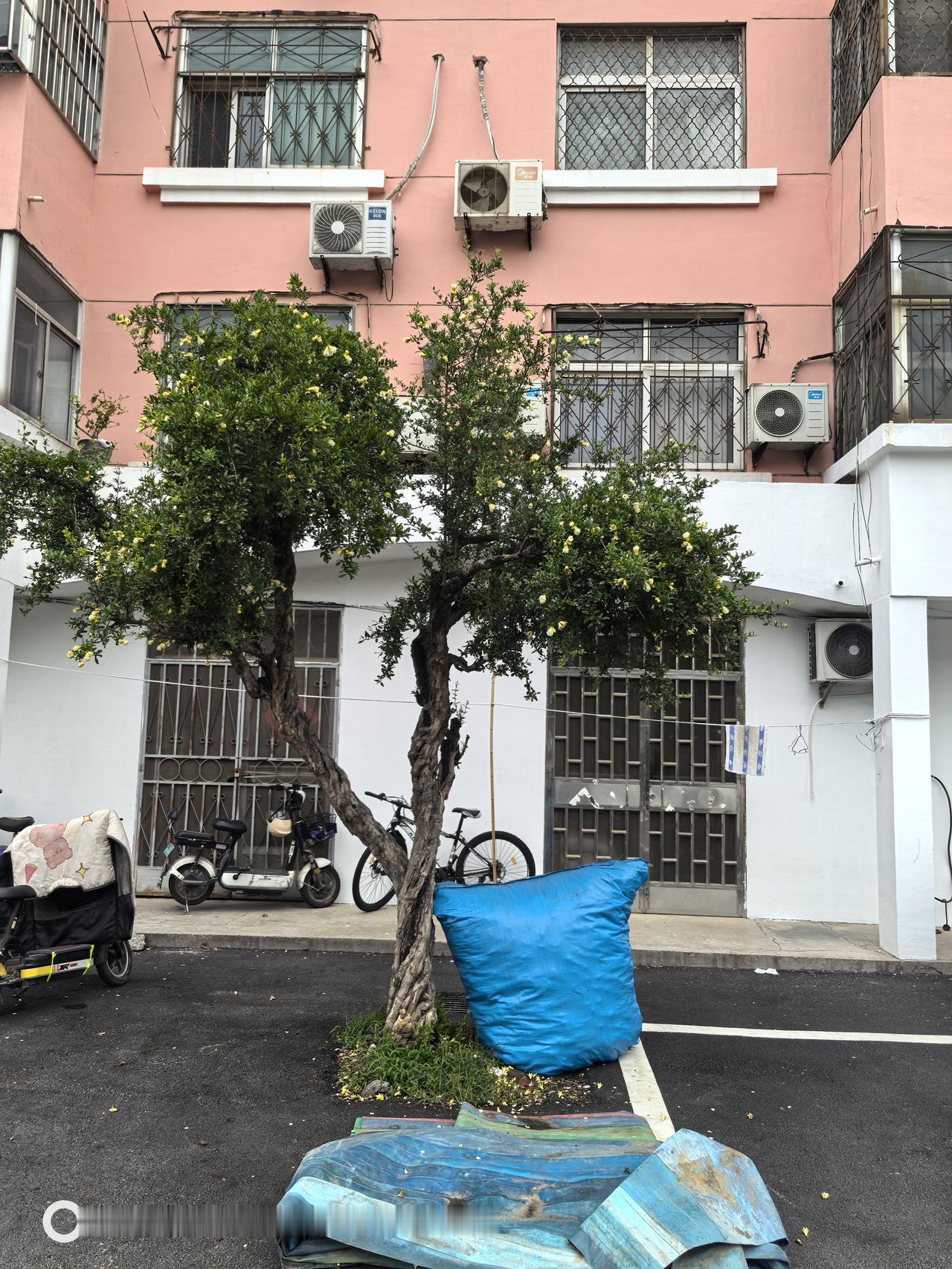 刚上班，办公室两个小伙子争的面红耳赤，俩小伙子是前几年才来单位上班的，关系不错，