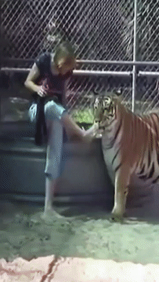 野外可没这么劲爆的味道啊