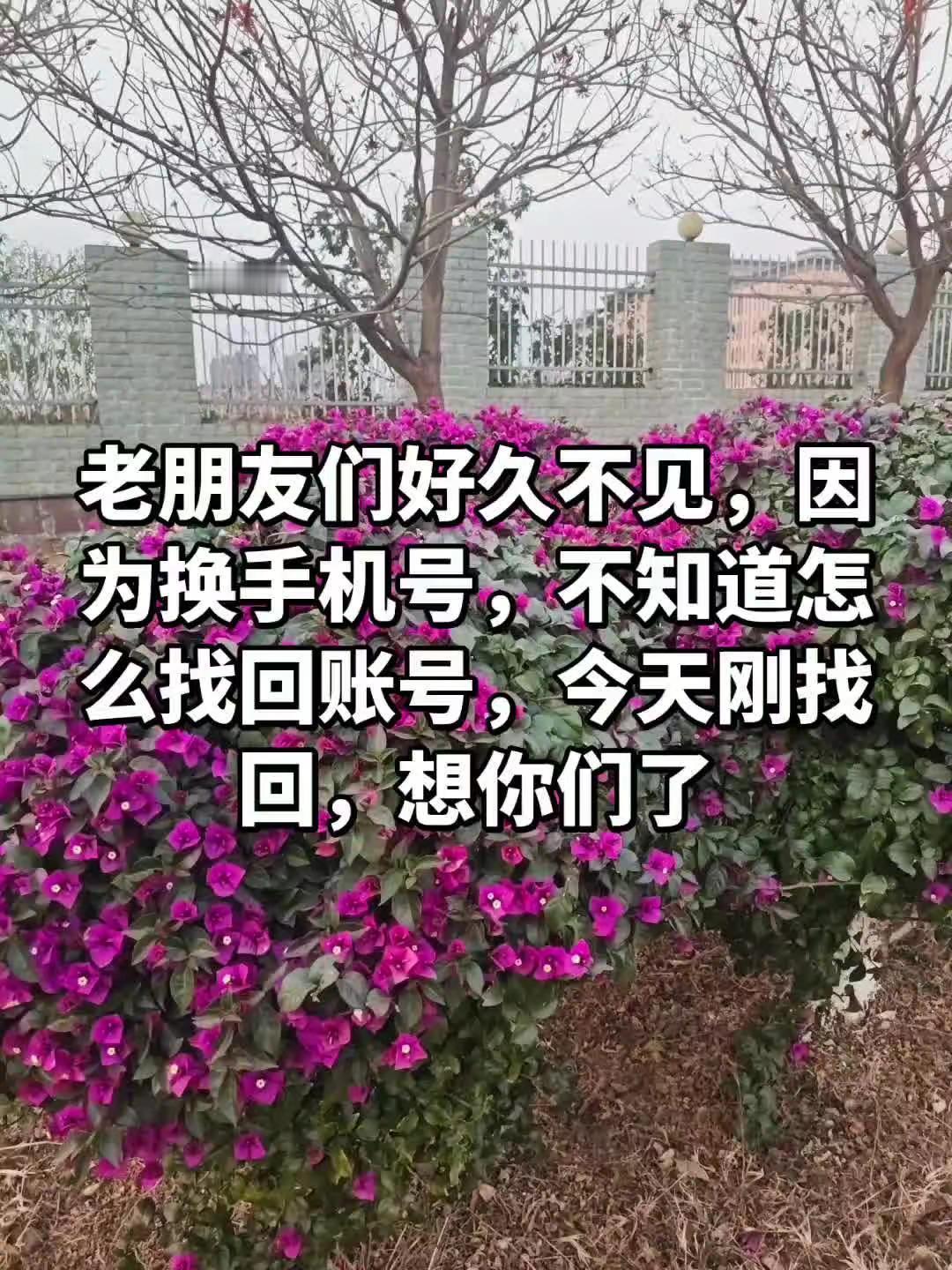 绿植花卉绿植我的乡村生活