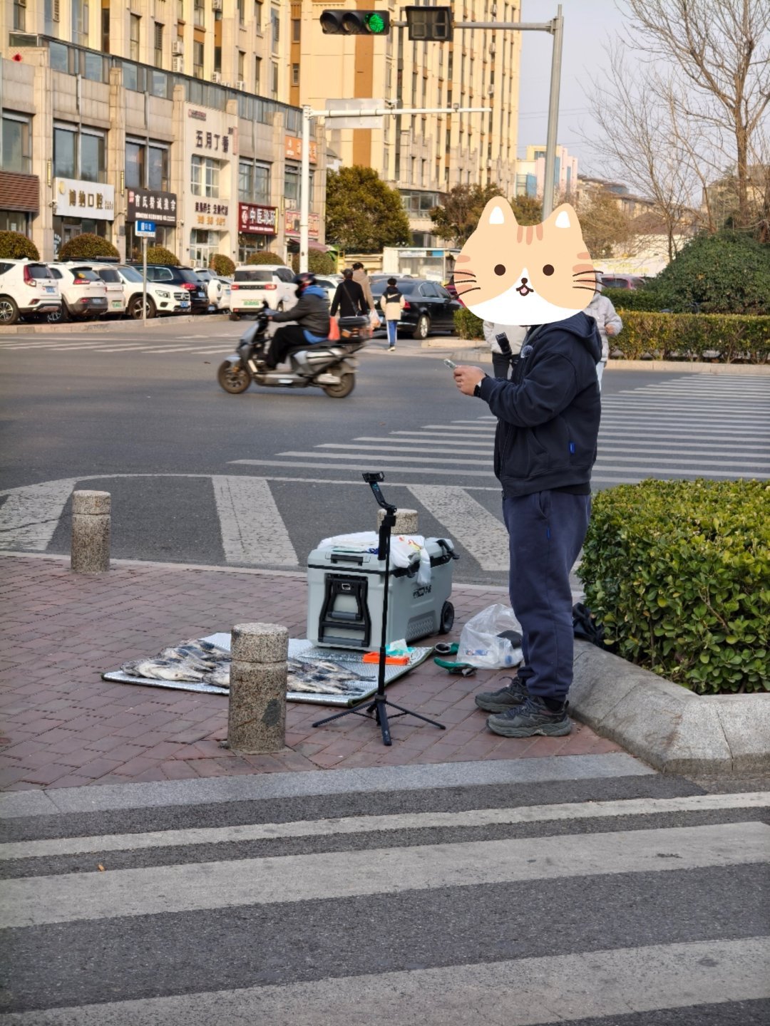 在菜市场的路边，买了一条黑头，野生刚钓的，50块钱一斤，靠谱吗？你们说。青岛