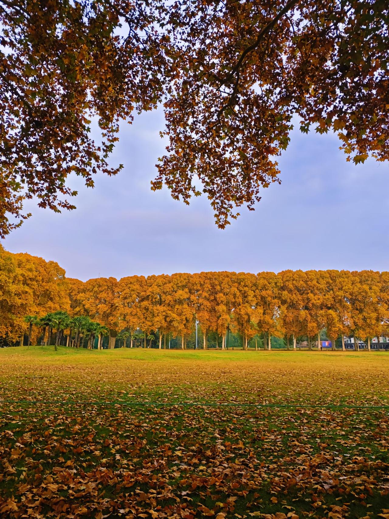 刚看了南京机关及公安干警招聘的毕业生的履历，发现都是高层次人才，很多毕业于98