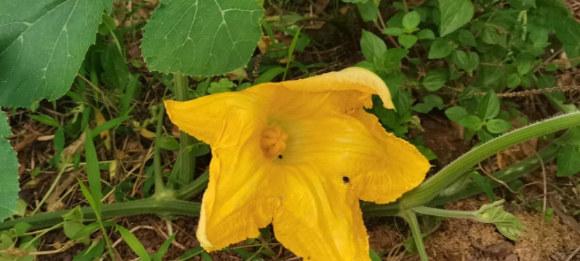 突然发现老公出轨的第6个月我心里第一个半年观察期到了，目前来看，我现在不会