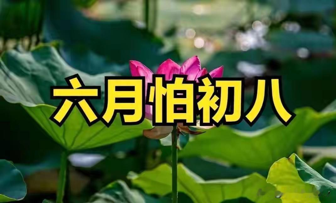 老话说“六月怕初八”，明日六月初八，有啥怕的？看看老祖宗咋说六月初八，这个日