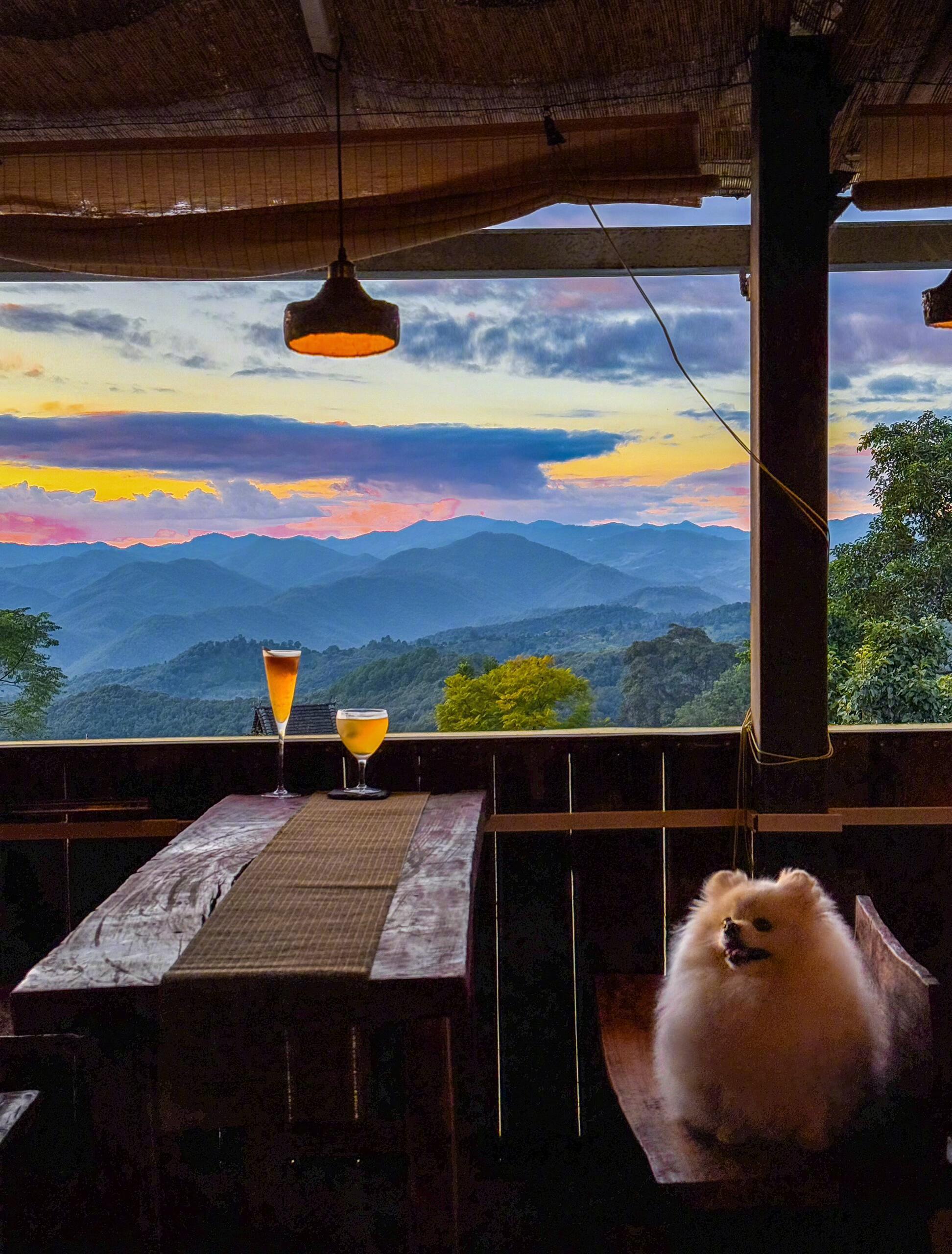原来桃花源真的存在啊从没想过有一段旅游能让我如此怀念，区别于其他旅游地点的热闹?