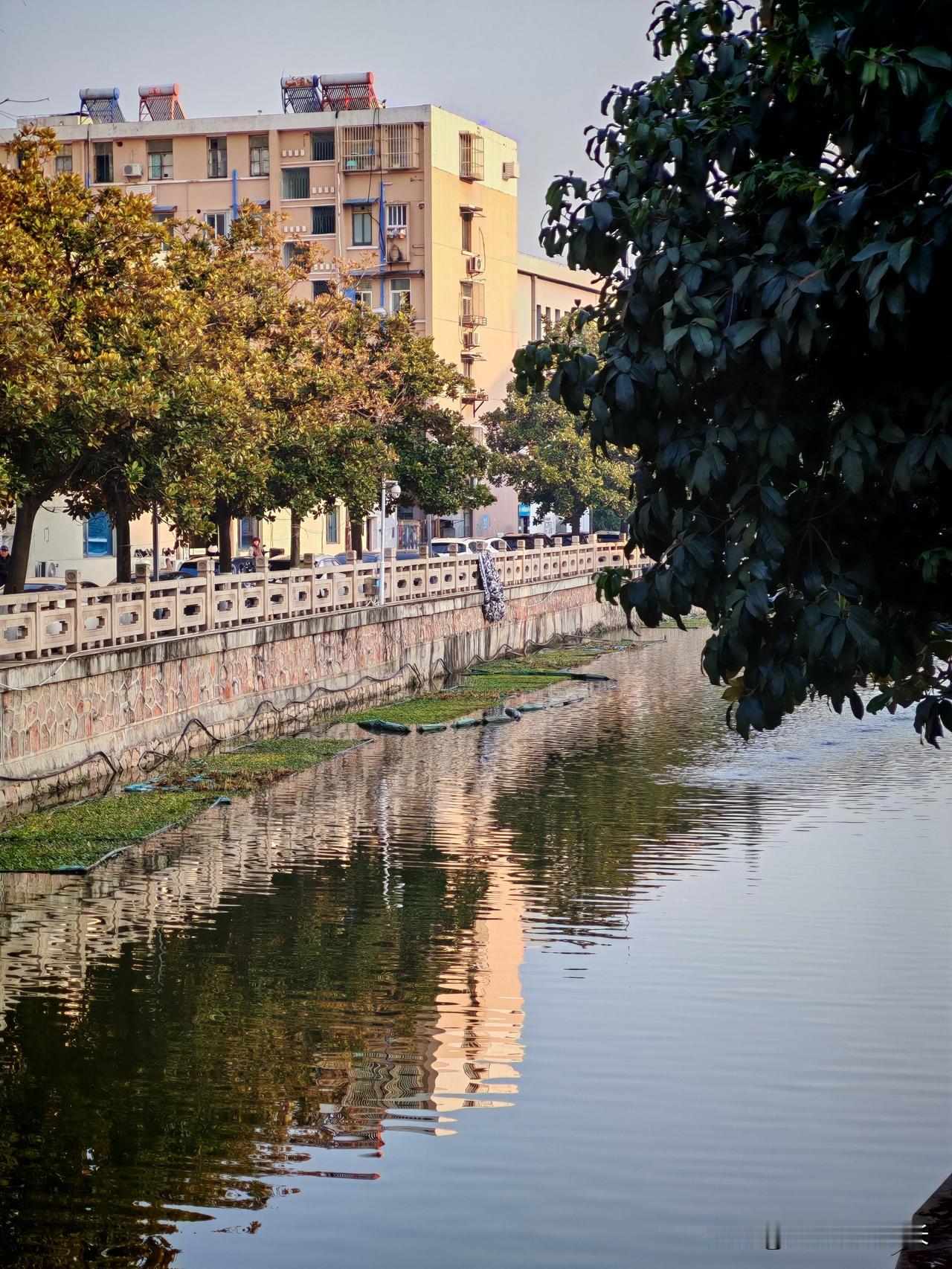 刚退休就慌了：早我几年退的张哥一句话，戳中多少退休人的痛刚办完退休，本以为