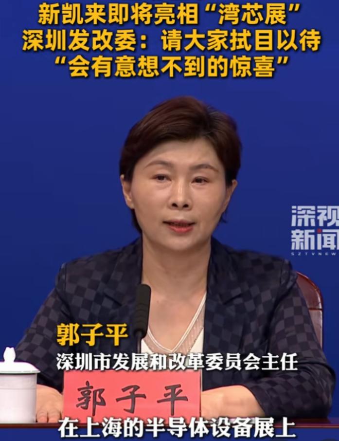 中国对高通等进行反垄断调查的背后，是中国整个高端芯片的雄起！深圳发改委：新凯来下