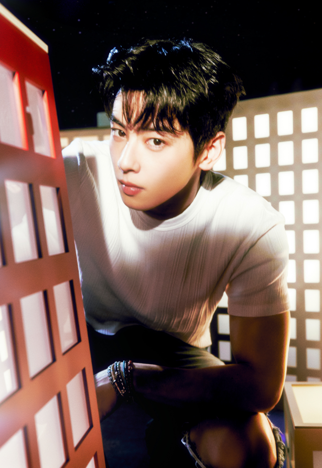 涉嫌逃税, 车银优被追缴超200亿韩元, 创韩国艺人追缴逃税金额之最