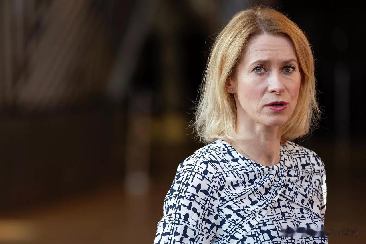 【欧盟外交负责人：2025年向乌克兰提供了价值270亿欧元的武器】布鲁塞尔时间