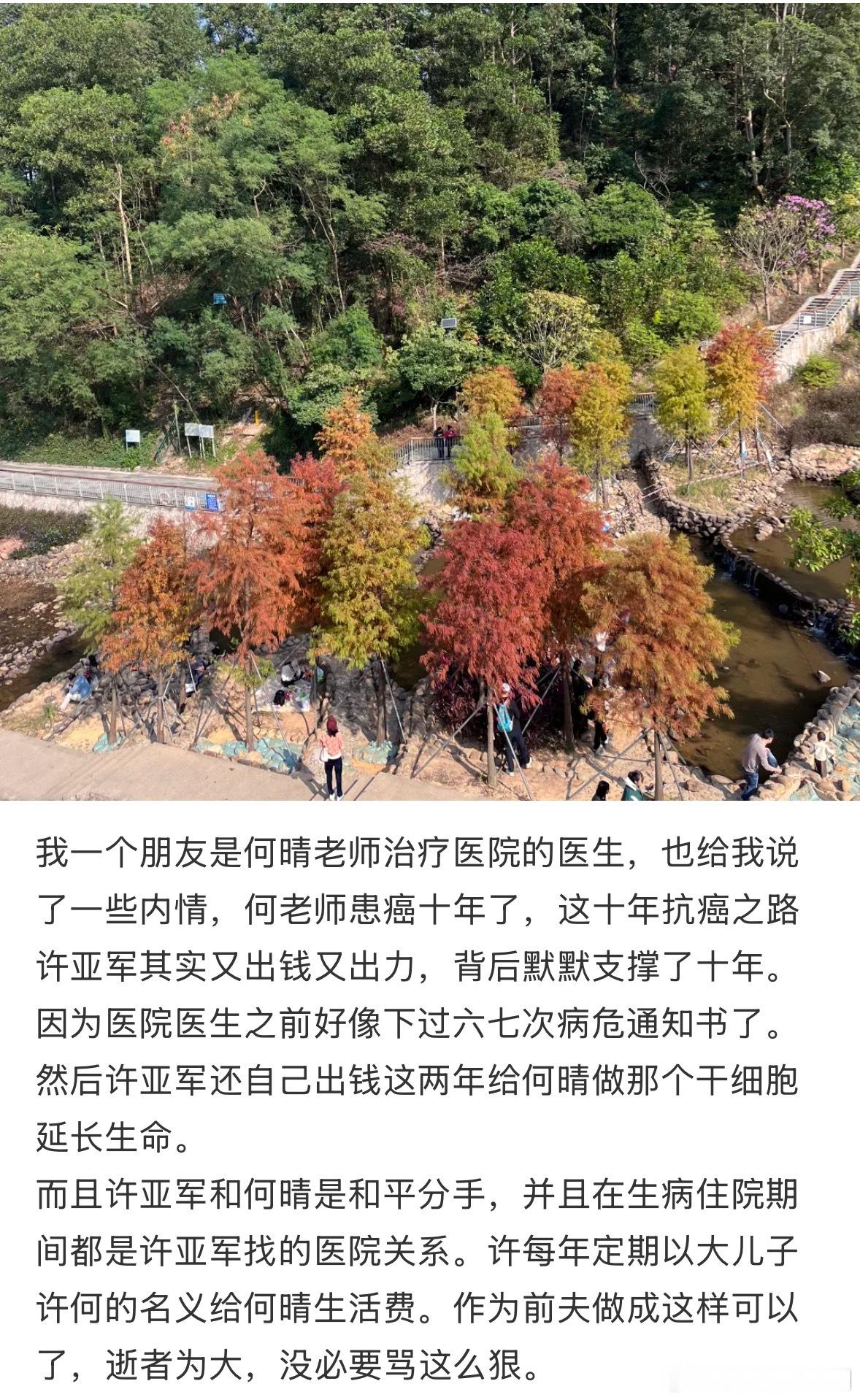 你们看到这个了没…..有医院主治医师说何晴抗癌十年许亚军一直出资，期间医院曾多次