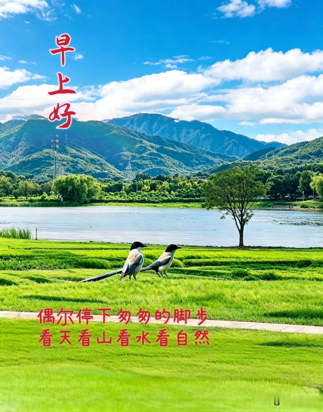 清晨有风，心中有暖，好好生活，慢慢如愿。