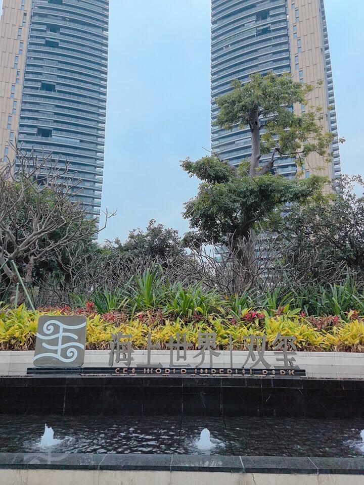 蛇口次新顶豪4.5折拍卖，高层/无敌海景，8.8万起，双玺336平大平层只要29