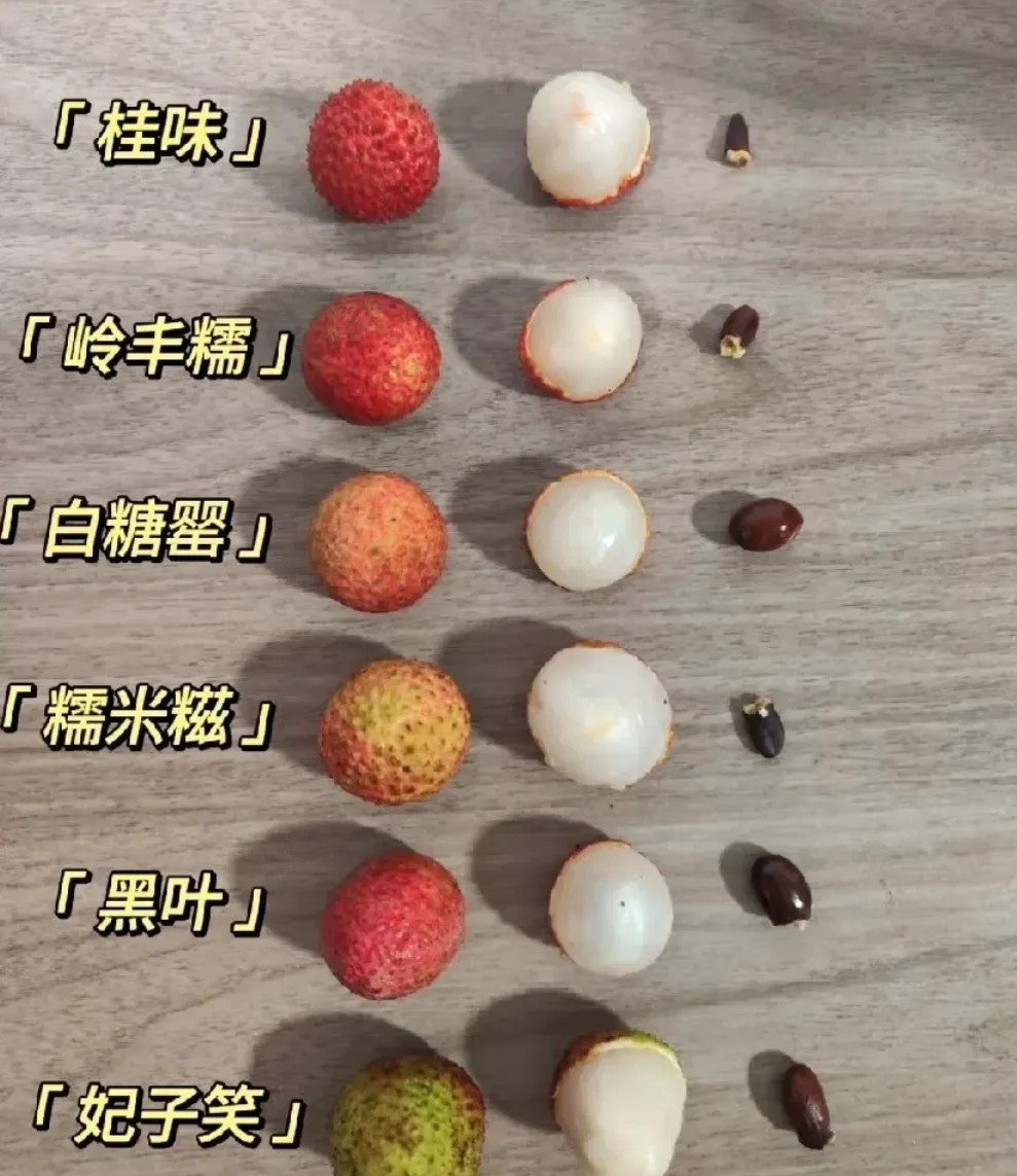 看了《长安的荔枝》，我一点也不羡慕杨贵妃。为了能吃上一口荔枝鲜，浪费这么多人力物