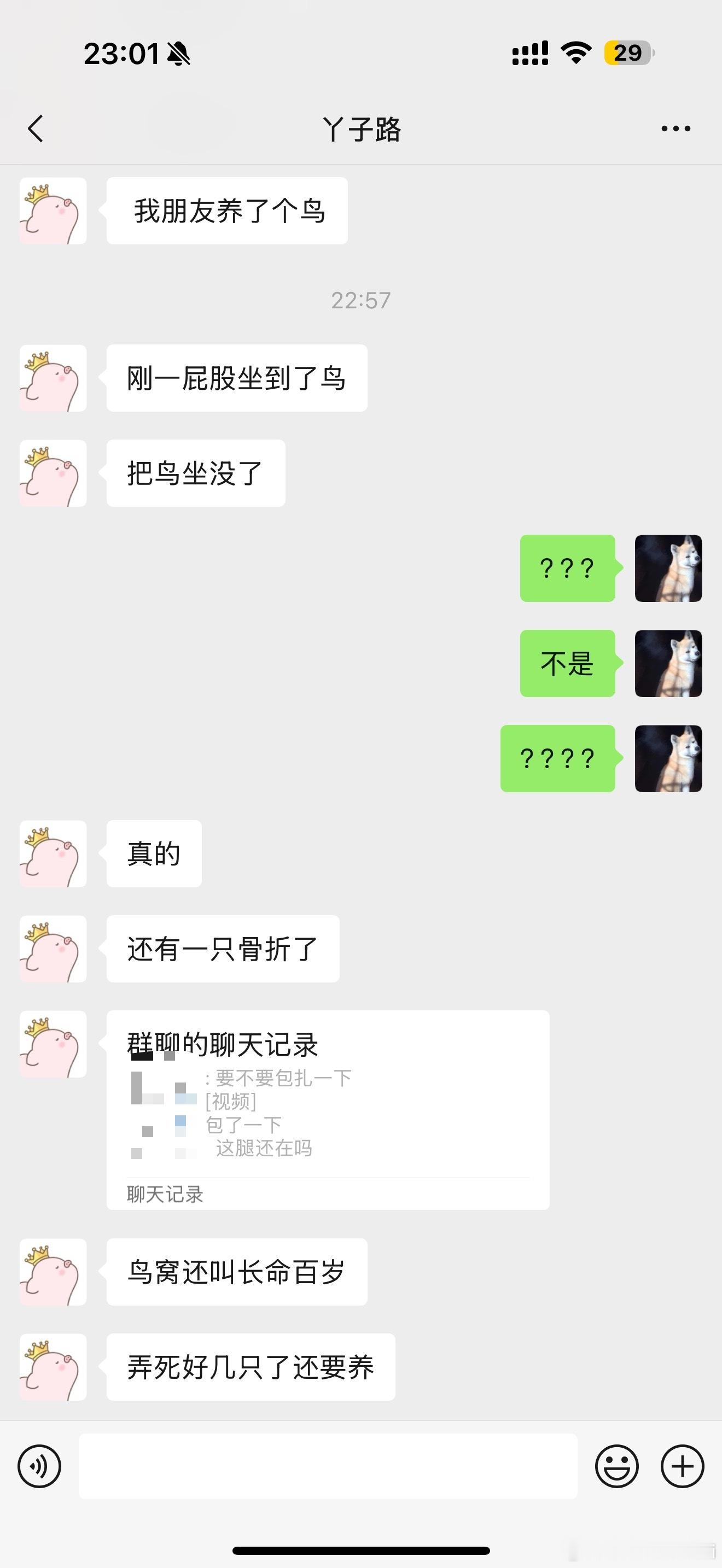 谁能告诉我到底该不该笑啊？心疼鸟​​​