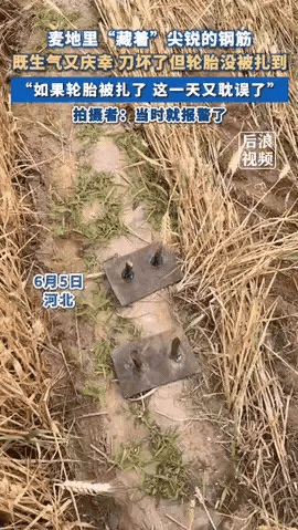 太坏了！”河北，一女子开收割机收麦子，作业的时候突然听到“咔嚓”一声响，机器像碰