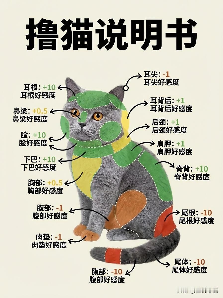 如何正确撸猫？撸猫避坑指南！摸对部位才不被挠摸错部位分分钟被猫主子甩脸子！