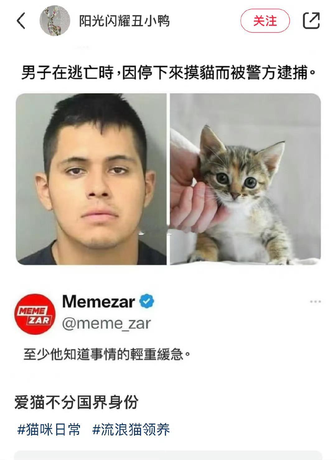 理解，这个确实忍不住​​​