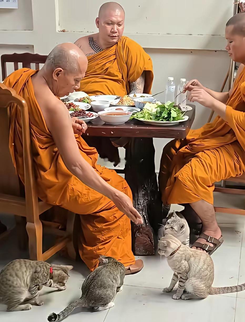 和尚居然也要吃饭的吗？我以为他们都是只吃草而已​​​