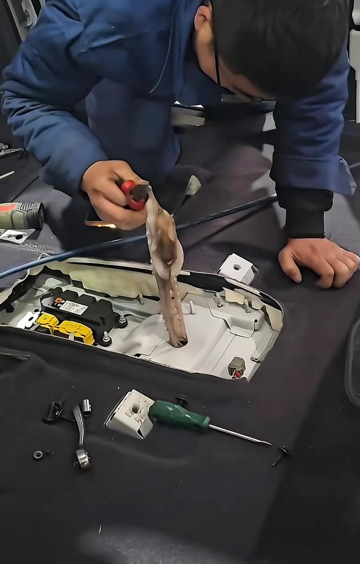 找到了！山东聊城，一对小夫妻刚买了两个月的新车，爬进了一只八爪鱼，无奈只好拆车寻