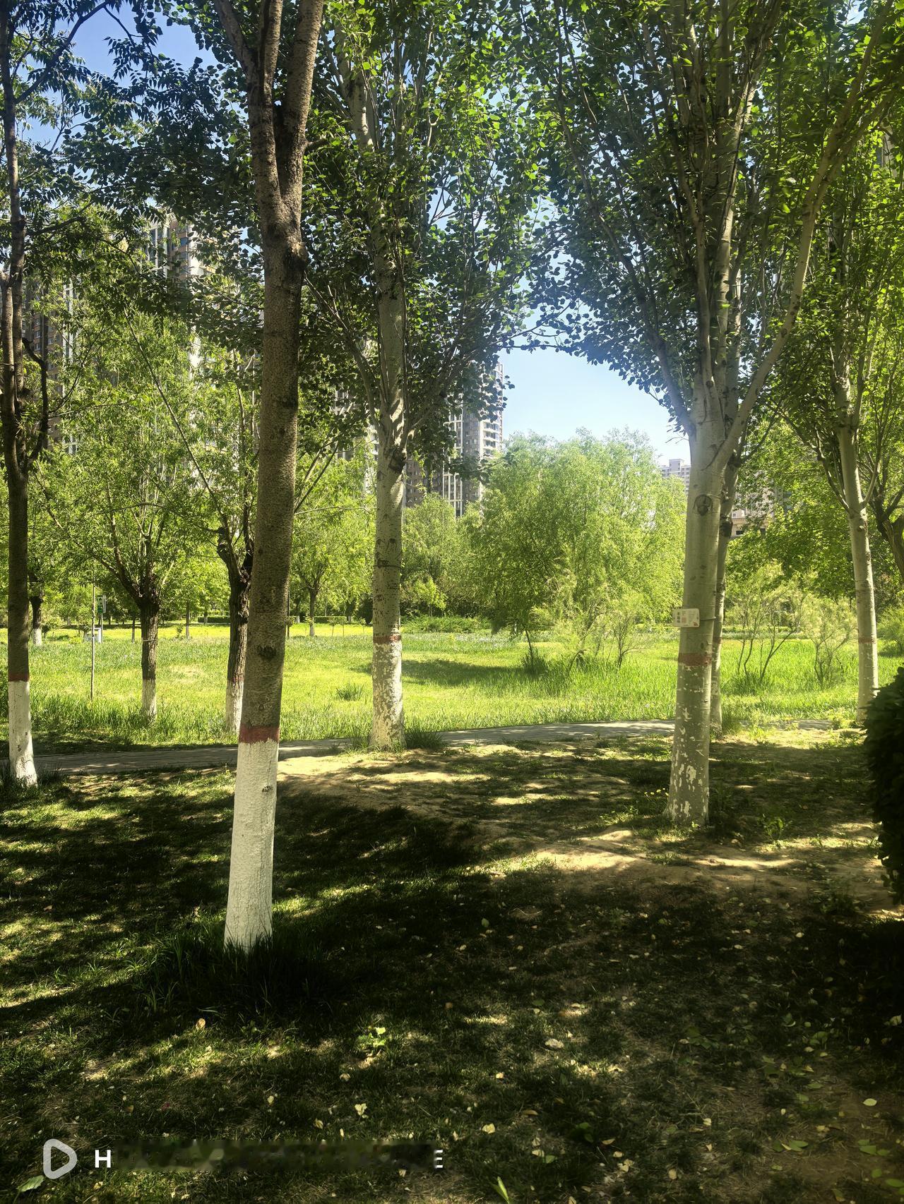 坚持坐姿提踵第三天！每次餐后一小时坐姿提踵5到10分钟，每天三次。简单的动作，