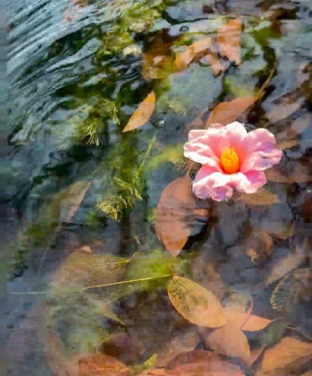 给新股民的4个实用建议1.小资金练手别一开始就重仓入市，先用一两万元练习。等能