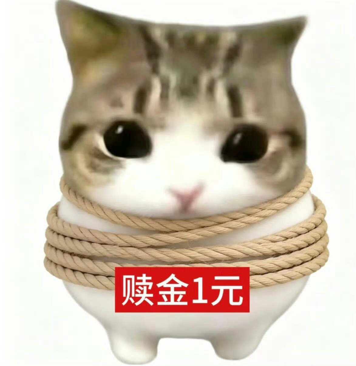 被绑架了