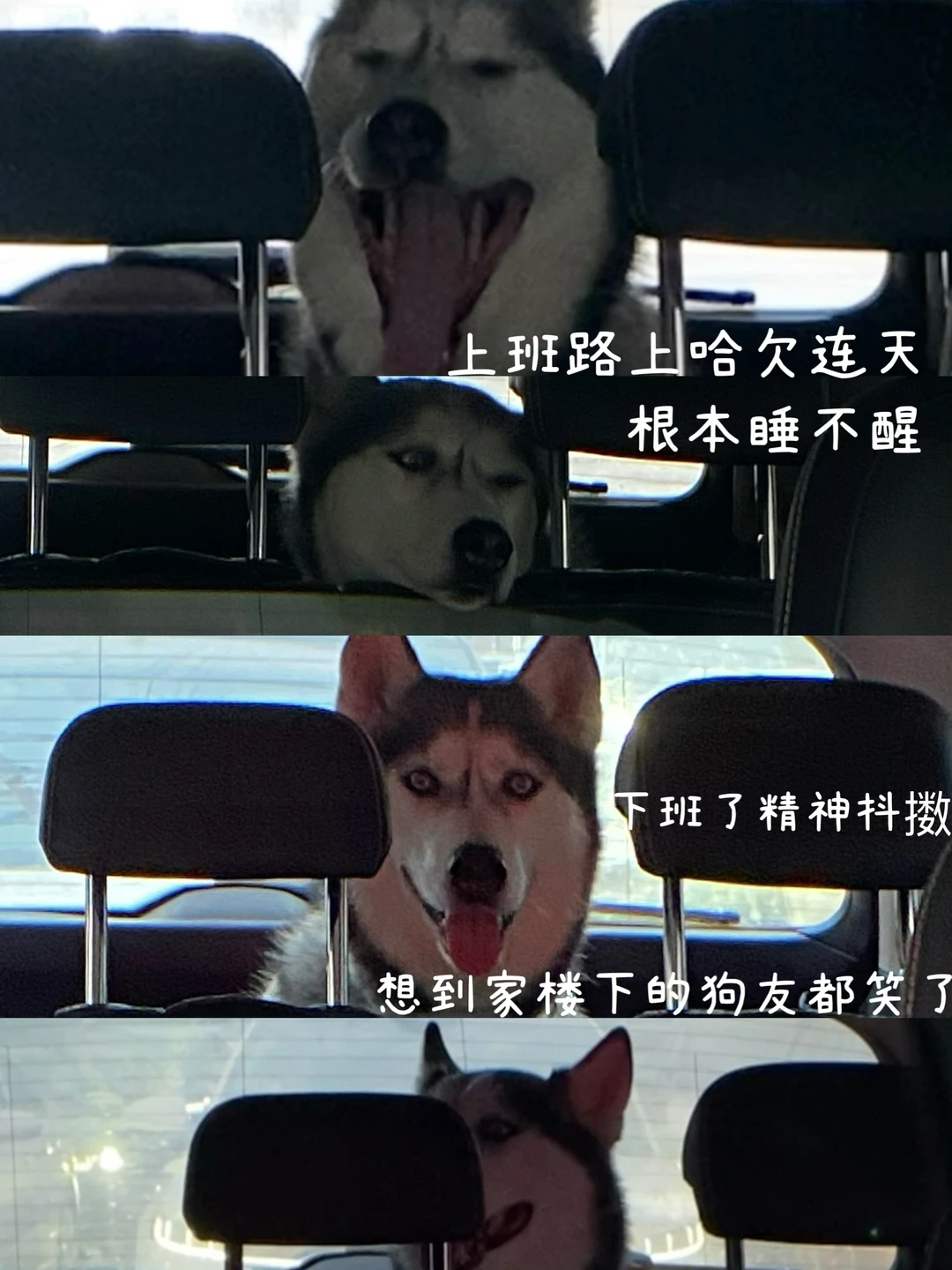 上班状态🆚下班状态