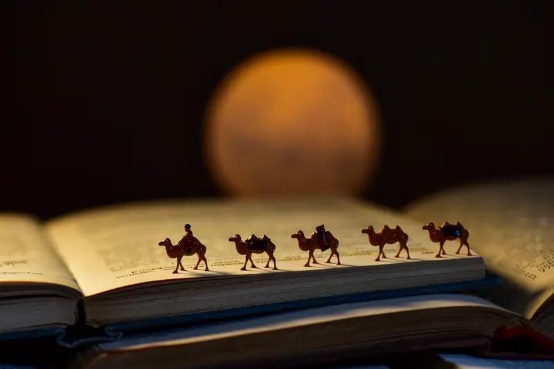 钝感修行录在这个信息爆炸、节奏飞快的时代，流行一句话：“只要不关注任何人的动