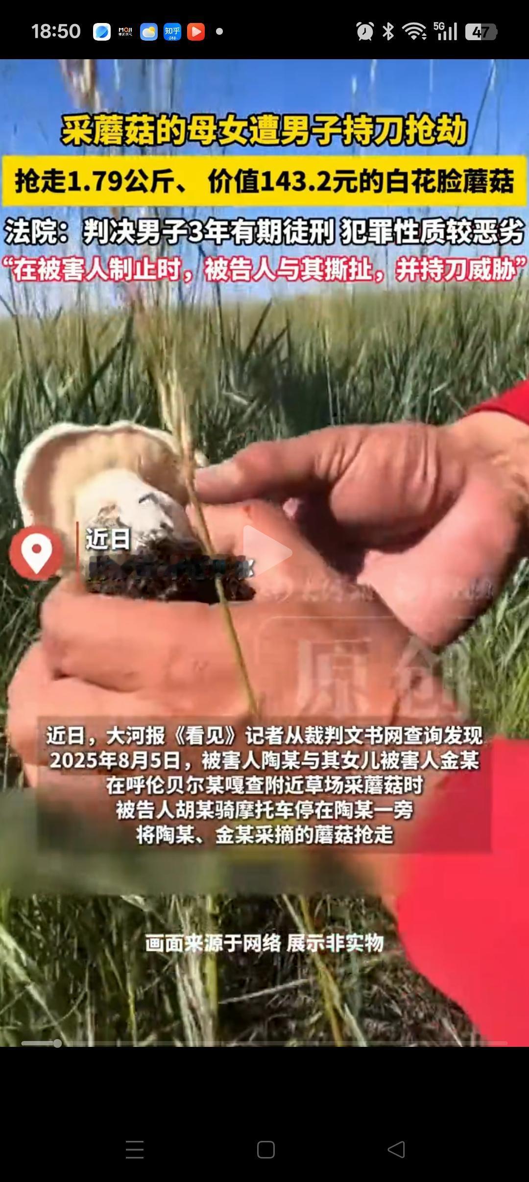 “这蘑菇非抢不可吗？”，呼伦贝尔，一对母女在草场附近采蘑菇，男子胡某在抢夺的过程