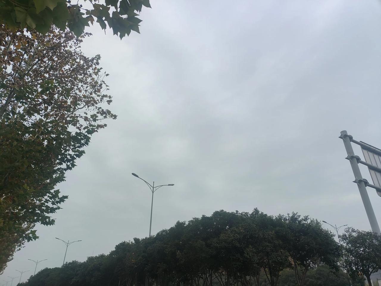 老师们都想要弹性上下班，但校长不会同意的。对老师们来讲，弹性上下班对于自己的工