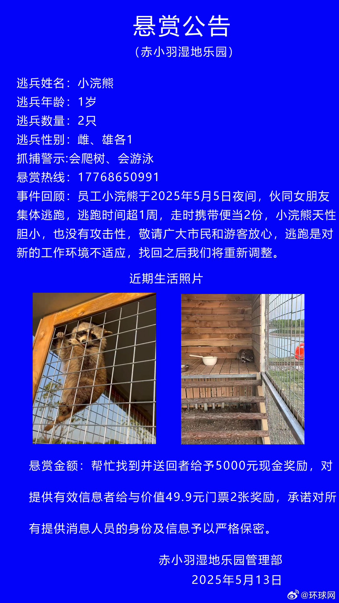 【江苏#1岁小浣熊伙同女友携便当出逃#，“看着老实其实在挖洞”，园方：回吧，换大