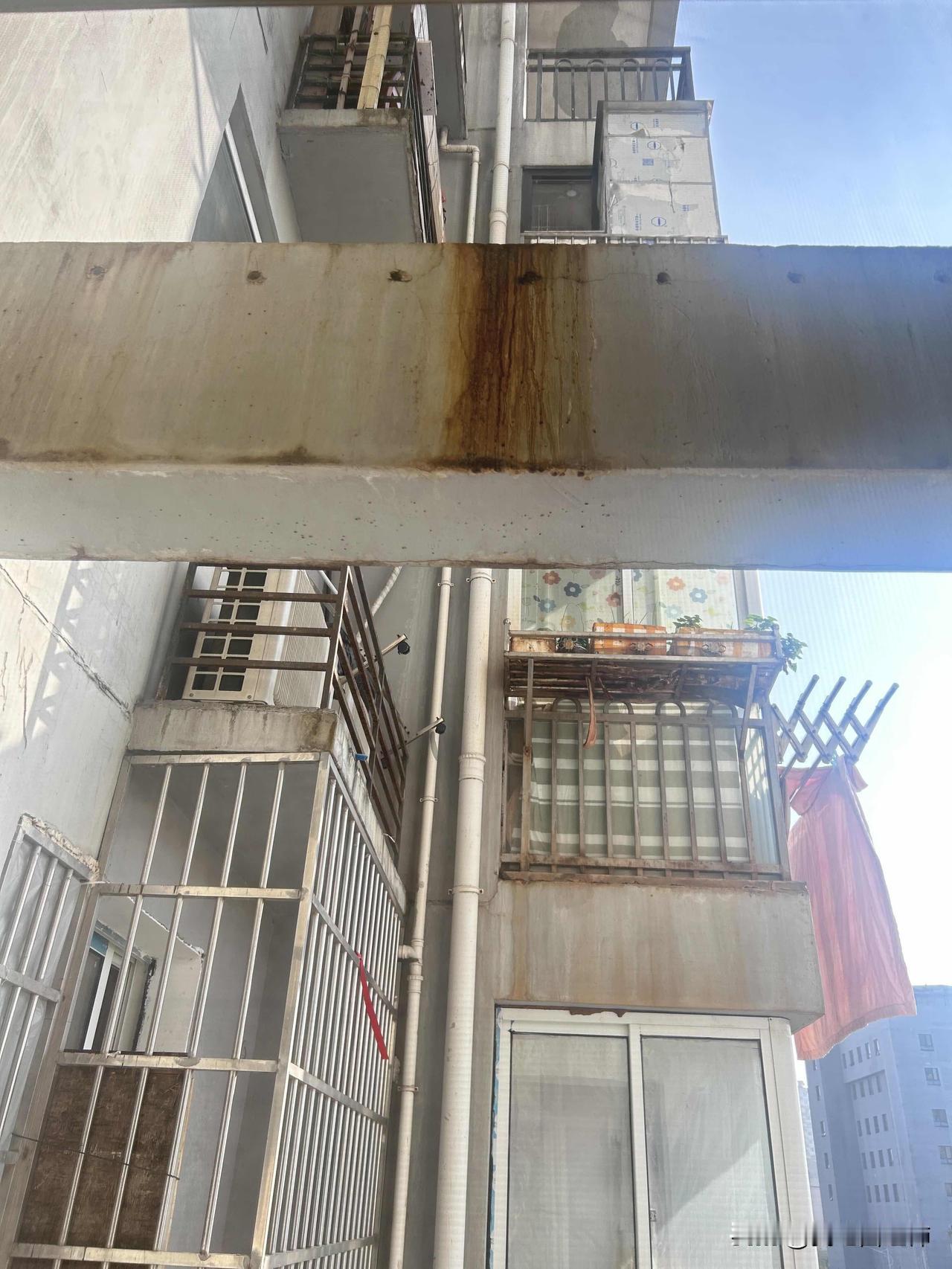 天哪！！真的被恶心到了🤢我真是倒霉，租房两年第一次碰到这种奇葩邻居，楼上老太