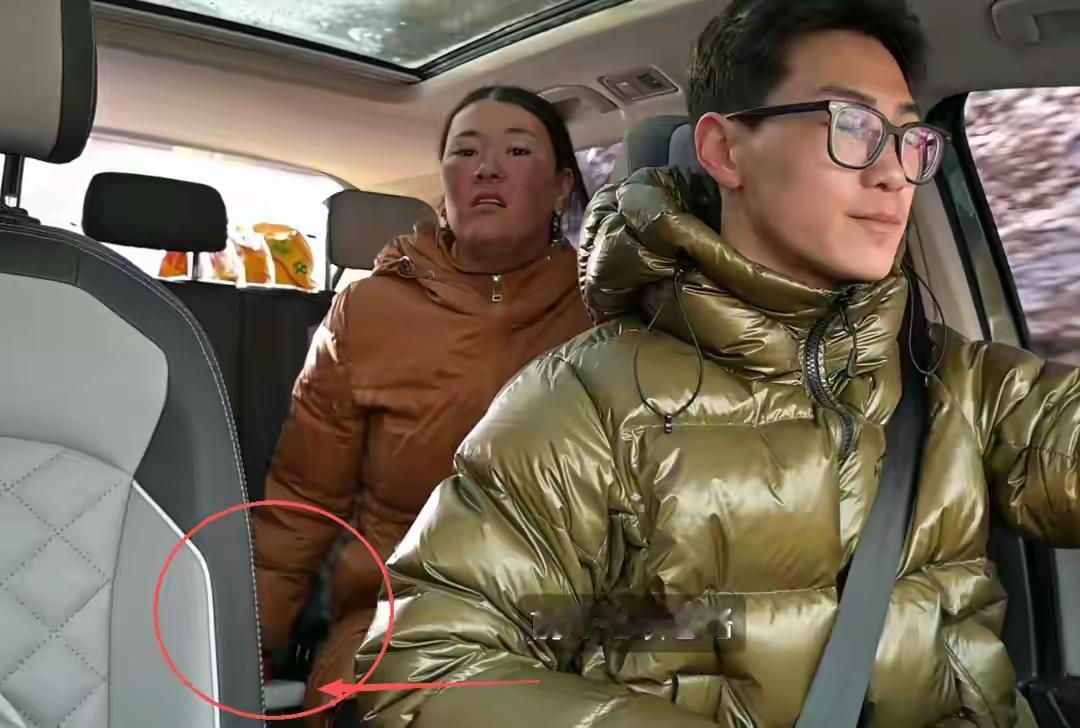 那个小伙把车停在雪山脚下，是想拍张照发朋友圈的。结果照片没拍成，心里的“疙瘩”倒