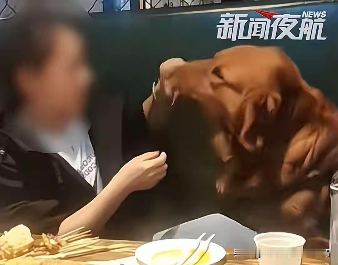 事发大连，女子在烤羊肉串店里用公用签子的羊肉串喂狗，并将铁签子放回公共区域。这挑