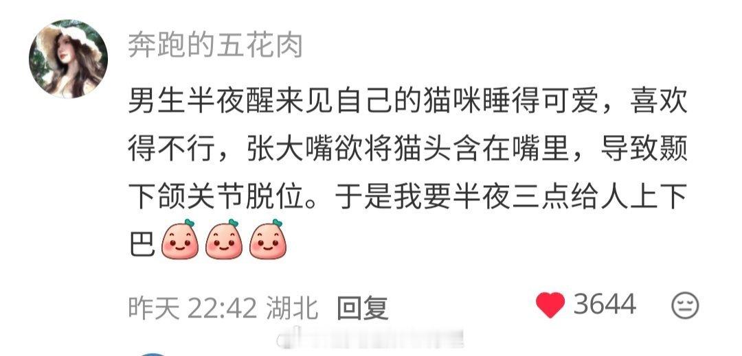 家里养咪的注意了，特别是咪太可爱了的​​​