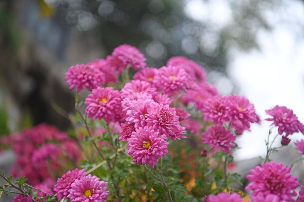 婆婆说大姑姐没家了，嫁出去的闺女泼出去的说，我递给大姑姐一把钥匙，婆婆哭了。