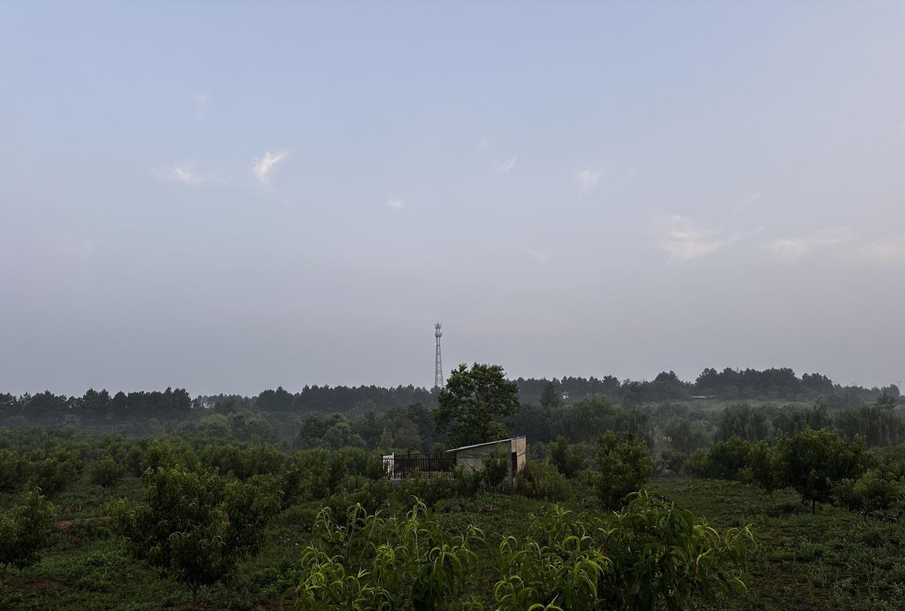 老公又跟人吵架了，因为一个垃圾桶。上午9点，我俩出门买东西，回来时远远看见农场