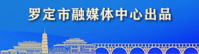 罗永雄率队赴云城区、云安区、郁南县考察学习交流“百千万工程”工作经验做法