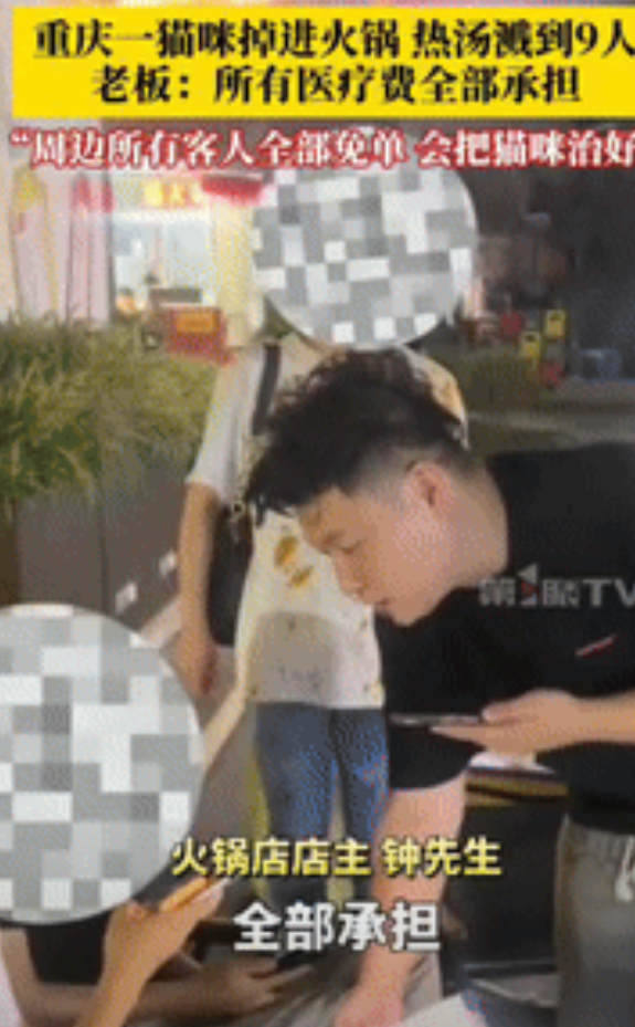 “活该这老板发财！”四川重庆，一猫咪突然从楼上掉进火锅里，热汤溅到了9名顾客，谁
