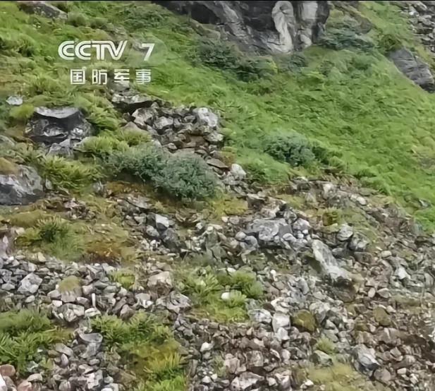 说是有一队解放军在巡逻中，我只看到一个。