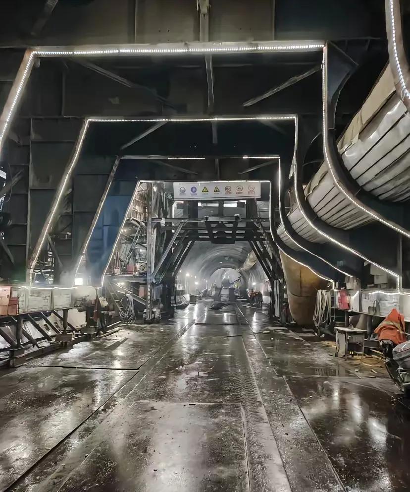 关注到几天前的一条消息，拉萨到林芝的铁路复线要建了。结合雅鲁藏布江水电站开工建设