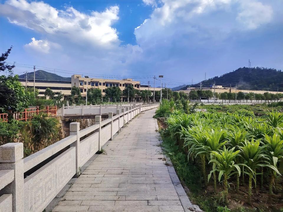 我的亲表弟终于放弃家乡老板的身份来浙江打工了……前年春节的时候在老家乡下碰上表