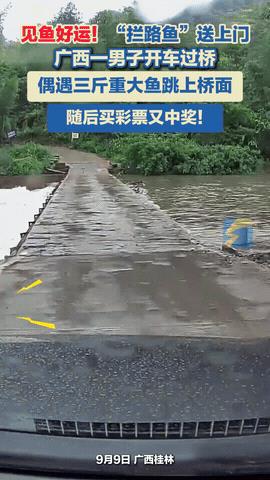 “科学解释不清了！”广西桂林，一男子驾车过桥时，一条3斤的大鱼忽然跳上了桥面，男