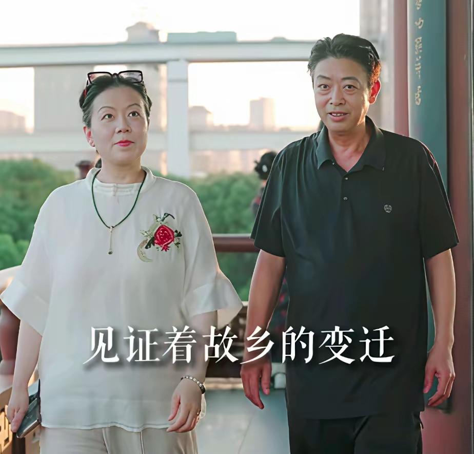 二八换子事件，许敏追查真相，追查真相的许敏，在九江长江大桥南岸，浔阳江畔，背倚琵