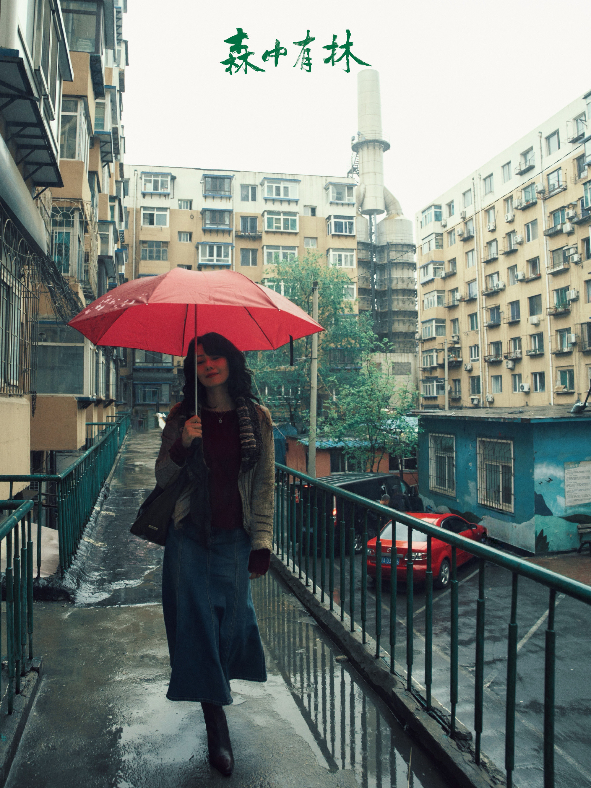 高圆圆学做东北辣白菜太有意思啦！高圆圆走进《森中有林》，体验东北日常，亲自上手学