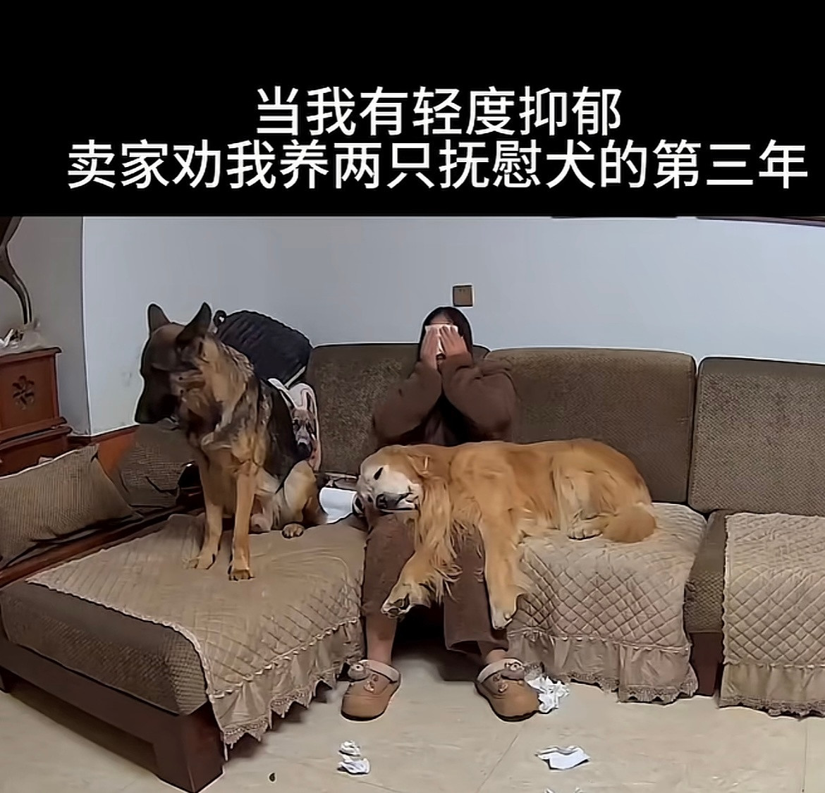 狗：日子怎么可能和谁过都一样呢😭果然选择永远比努力重要